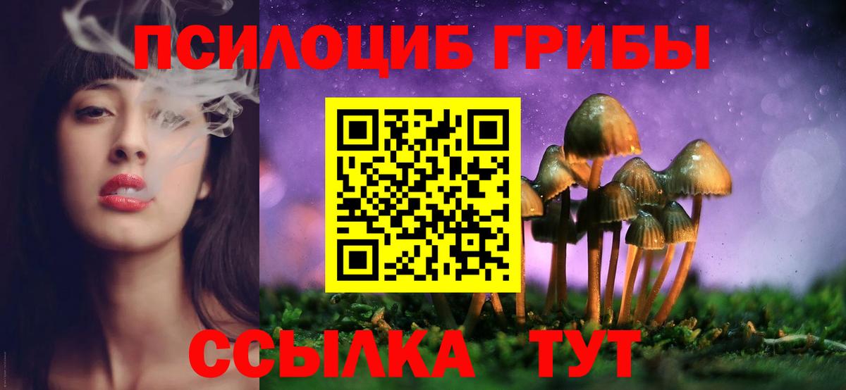 Псилоцибиновые грибы прущие грибы  Галлюциногенные грибы Cubensis  Вход с VPN  Клин 